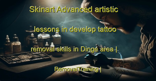Skinart Advanced artistic lessons in develop tattoo removal skills in Dinge area | RemovalTraining | RemovalClasses | SkinartTraining-France
